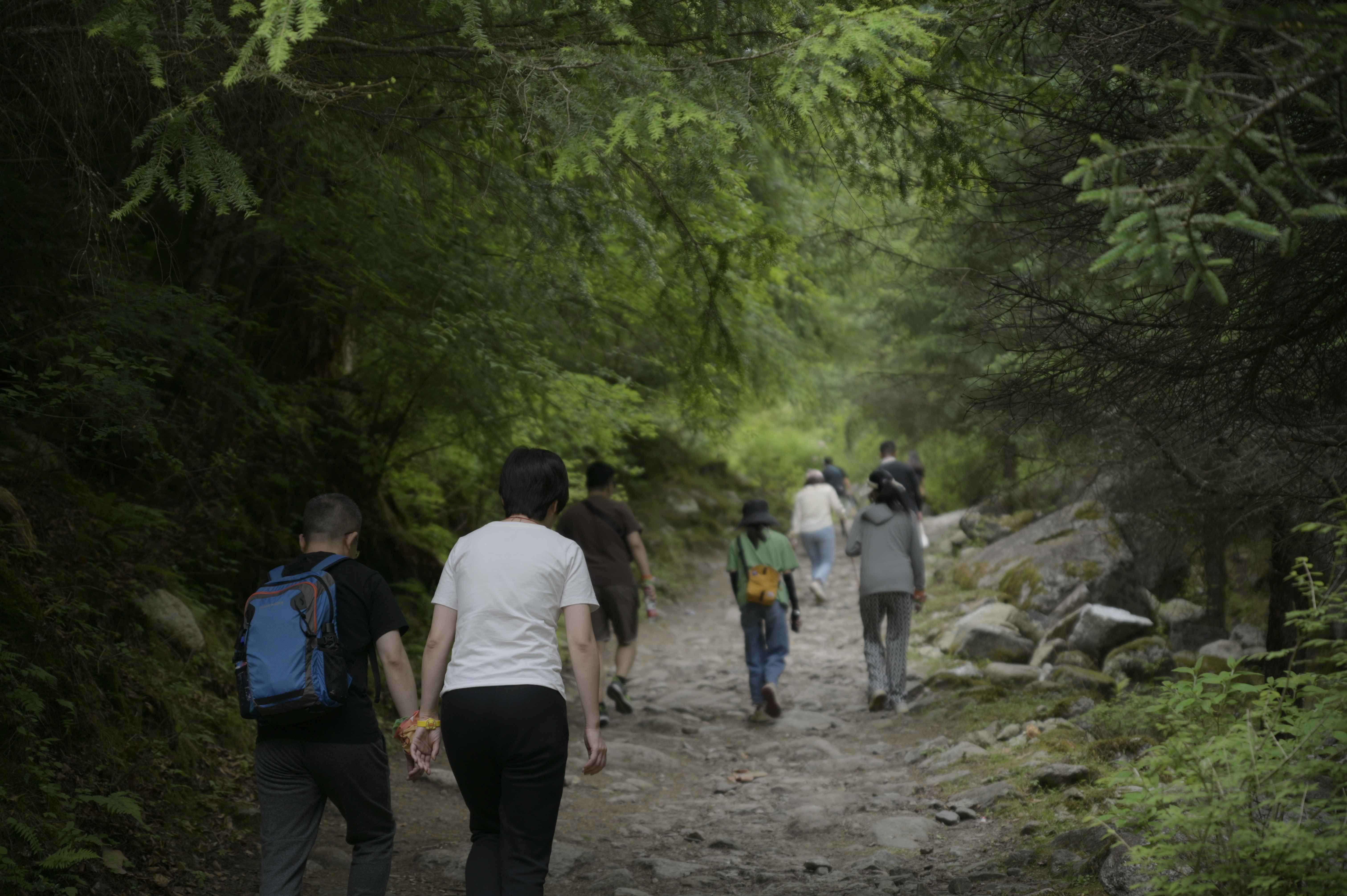 厄爾娜溝 (9).jpg