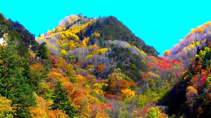 【秋色|厄爾娜溝】魔幻紅石公園，徒步原始森林，賞川西秋色