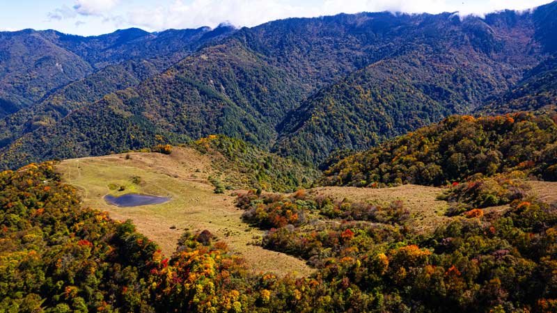 【彩林|甘海子】走近臥龍醉美高山草甸，坐看云卷云舒